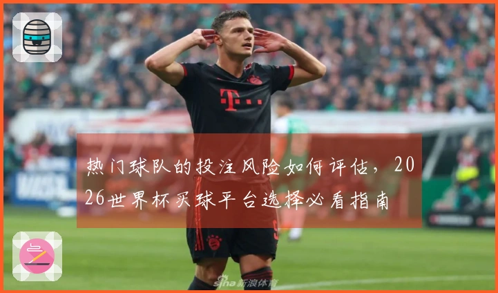 热门球队的投注风险如何评估，2026世界杯买球平台选择必看指南