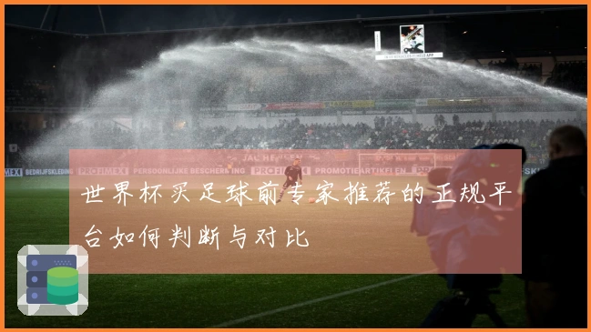 世界杯买足球前专家推荐的正规平台如何判断与对比