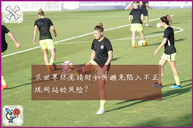 买世界杯竞猜时如何避免陷入不正规网站的风险？