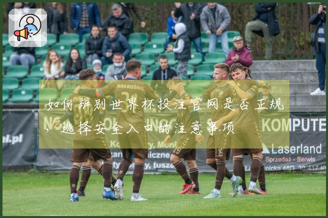 如何辨别世界杯投注官网是否正规，选择安全入口的注意事项