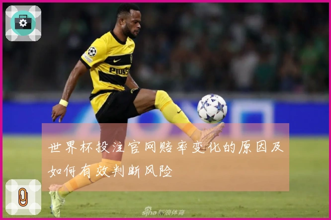 世界杯投注官网赔率变化的原因及如何有效判断风险
