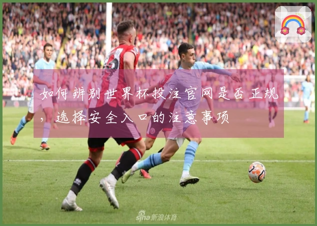 如何辨别世界杯投注官网是否正规，选择安全入口的注意事项
